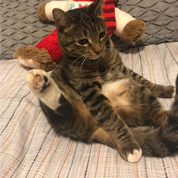 JEFFREE STAR - WYOMING WINTER HAND
CREAM - Picture 4 of 4